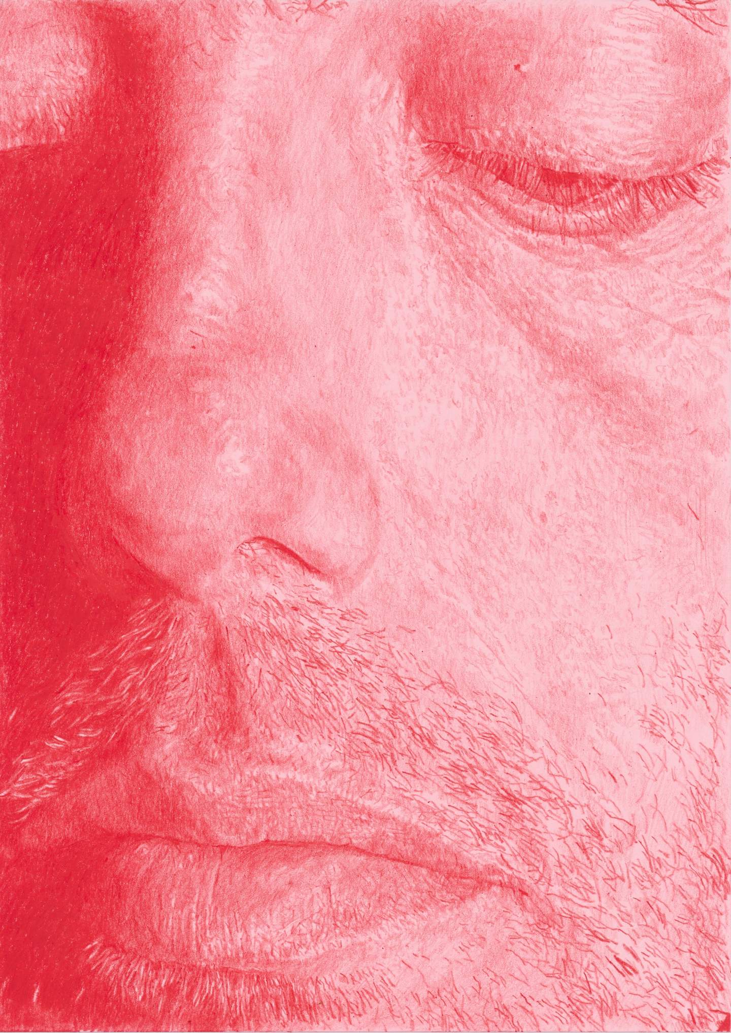 A red-toned close-up drawing of a face with closed eyes, focusing on the nose, lips, and skin texture.