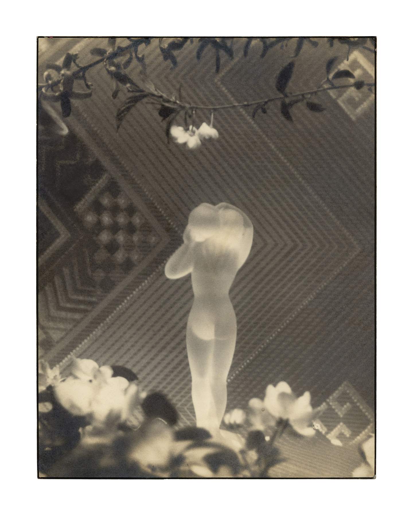 Sepia-toned image of a silhouette of a figure amidst flowers with patterned background.
