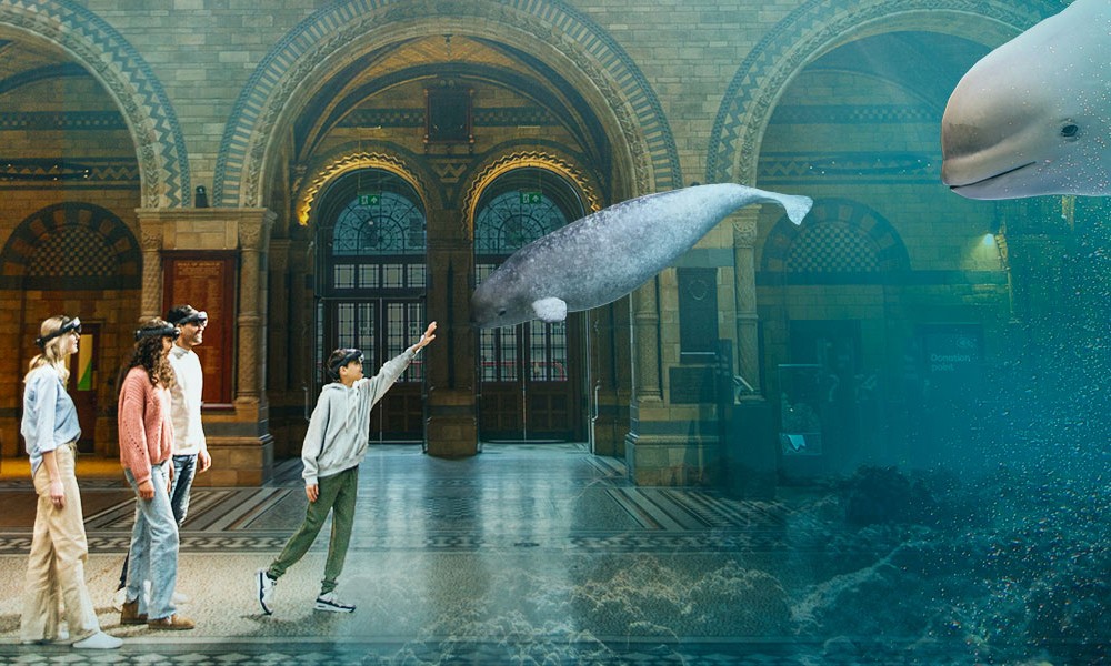 A group of people wearing VR headsets interact with virtual whales in a grand, historical museum setting.