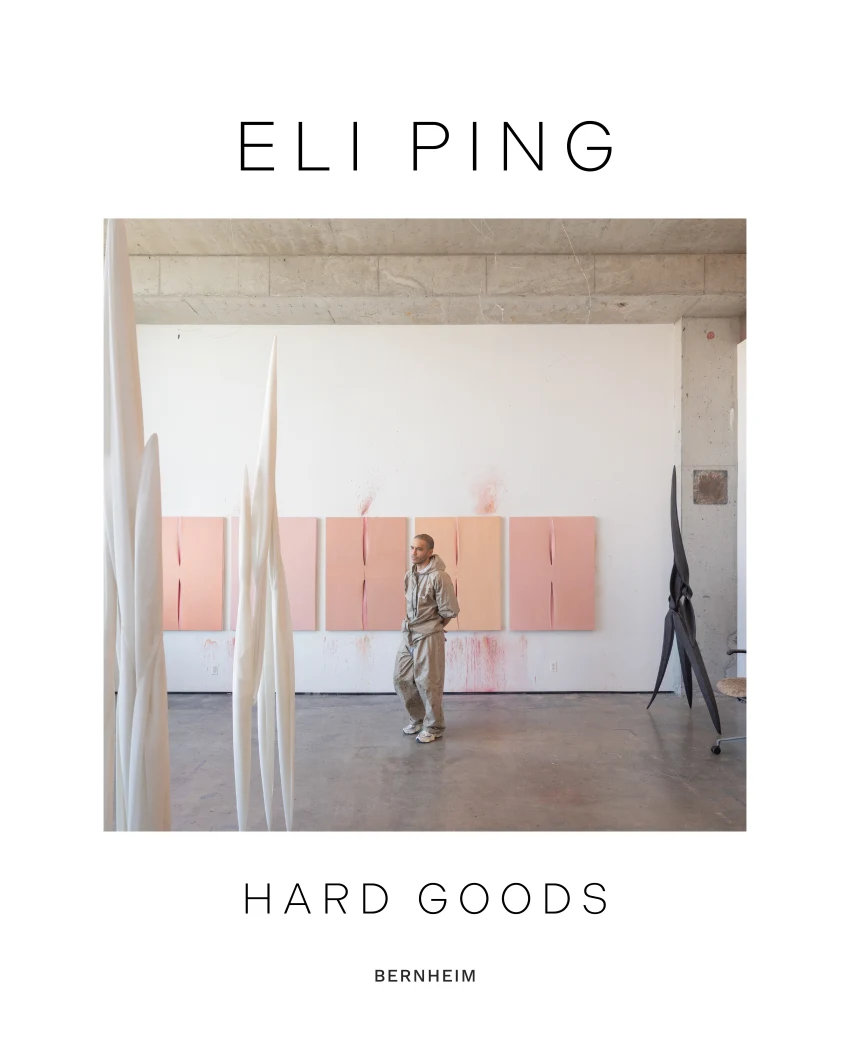 Art exhibition featuring abstract sculptures and soft pink wall pieces in a modern gallery space, titled "Hard Goods" by Eli Ping.