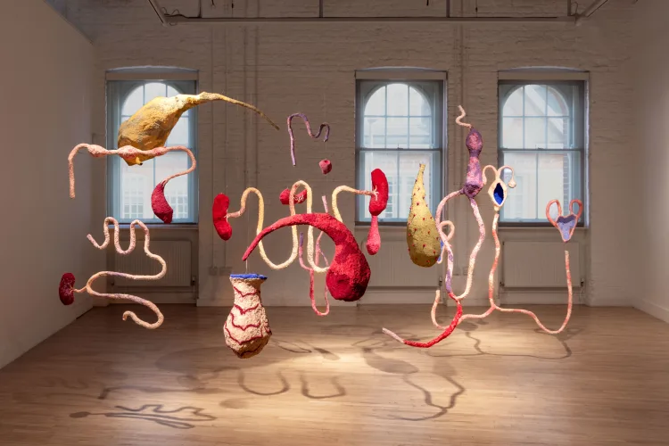 Colorful suspended sculptures in abstract organic shapes hang in a bright gallery space with large windows.