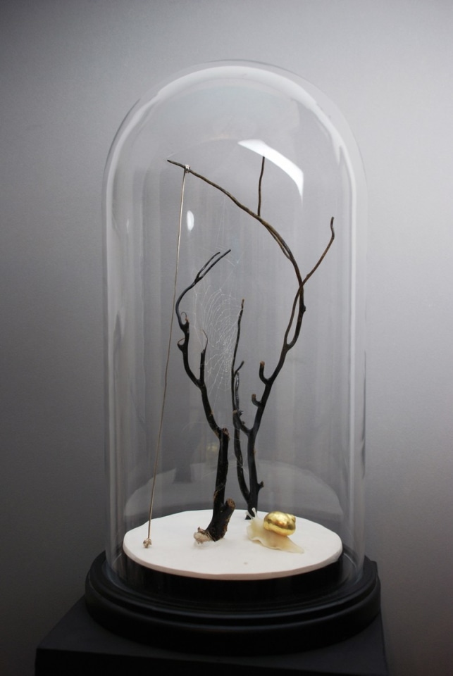 A glass dome containing a tree branch, placed on a surface against a wall, resembling a still life arrangement.