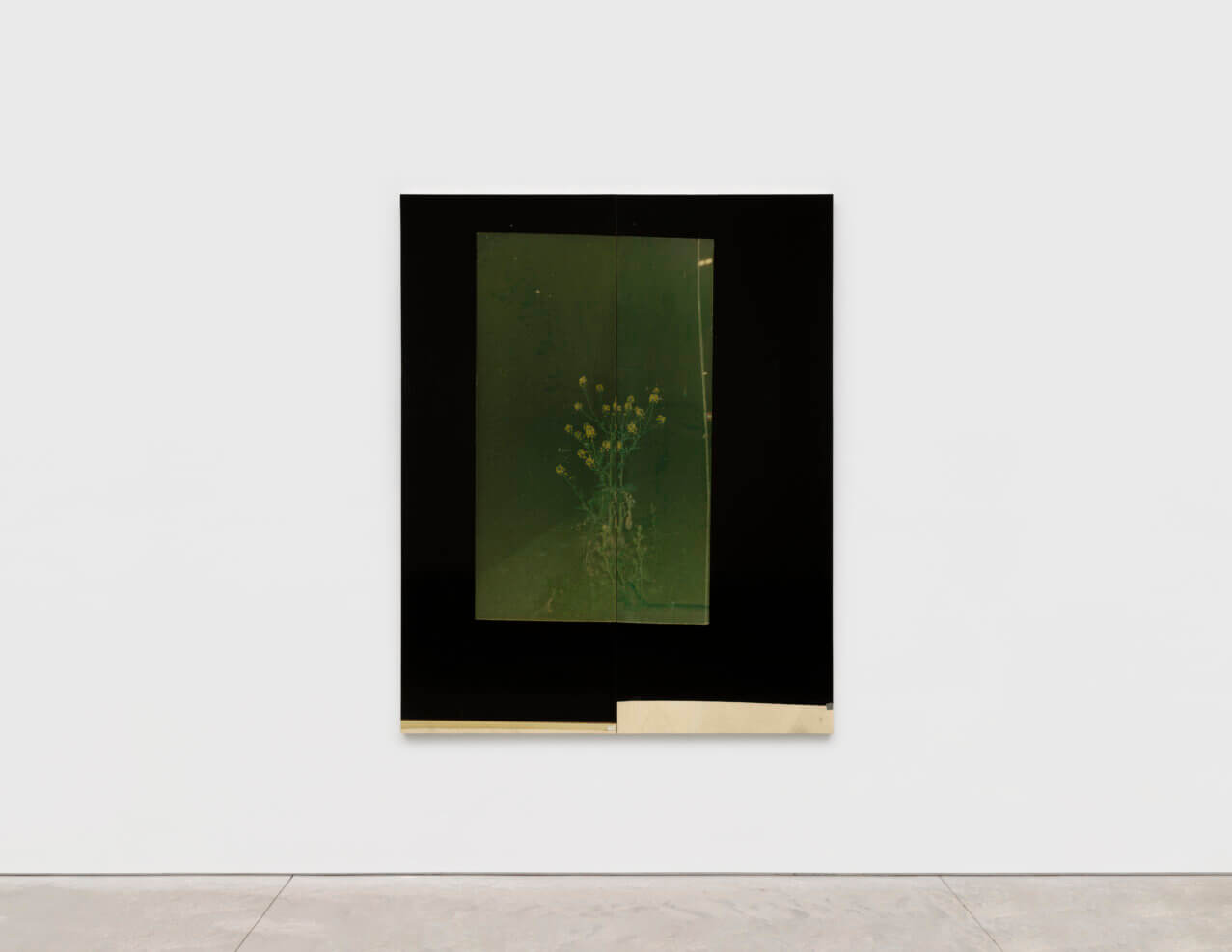 An abstract art piece displays a green-tinted image of flowers, framed within a contrasting dark background.