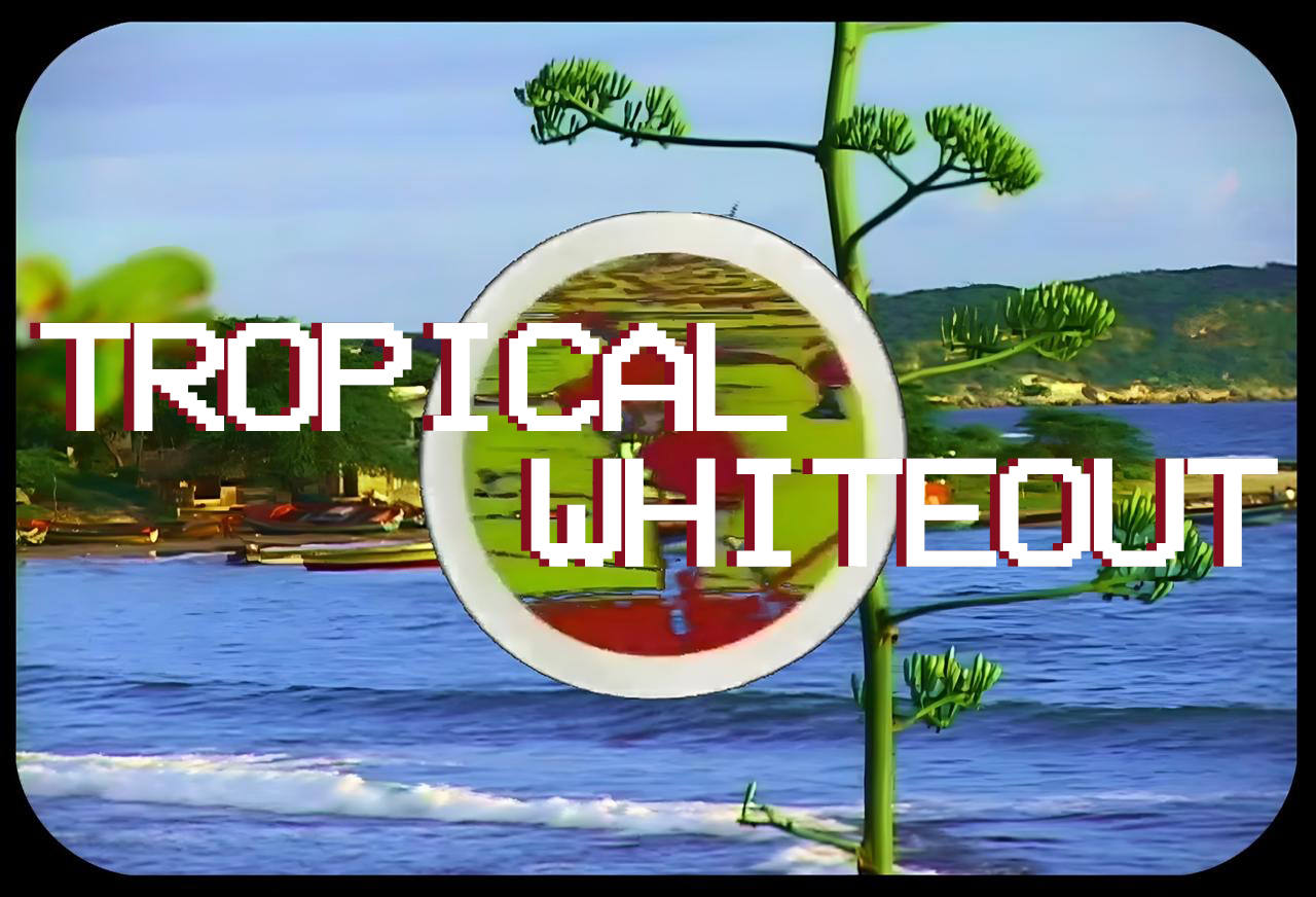 tropical whiteout