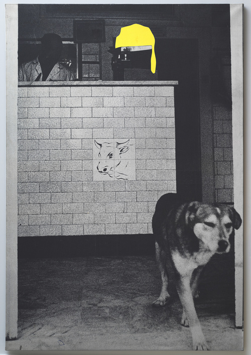 A black and white dog standing in front of a wall indoors.
