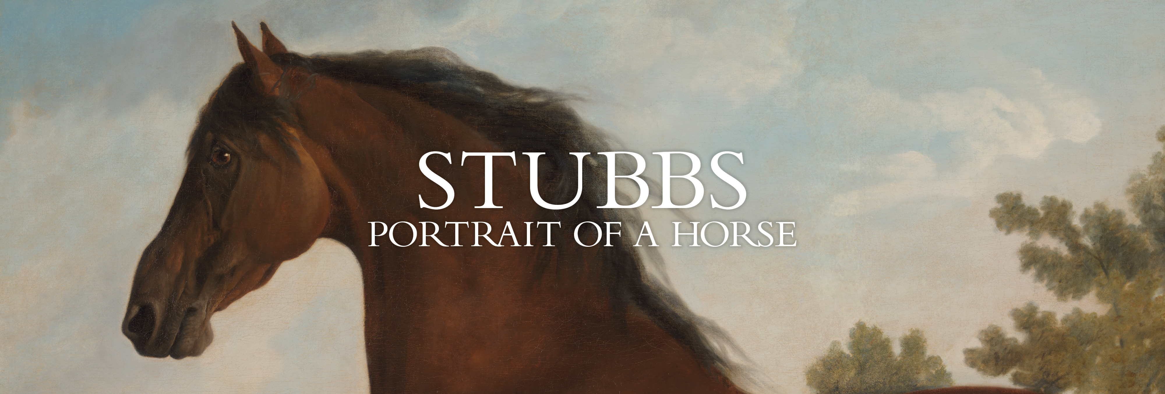 A close-up portrait of a horse's head featuring its mane and eye, with a soft background suggesting an outdoor setting. The horse has a sorrel coat, showcasing its vibrant color.