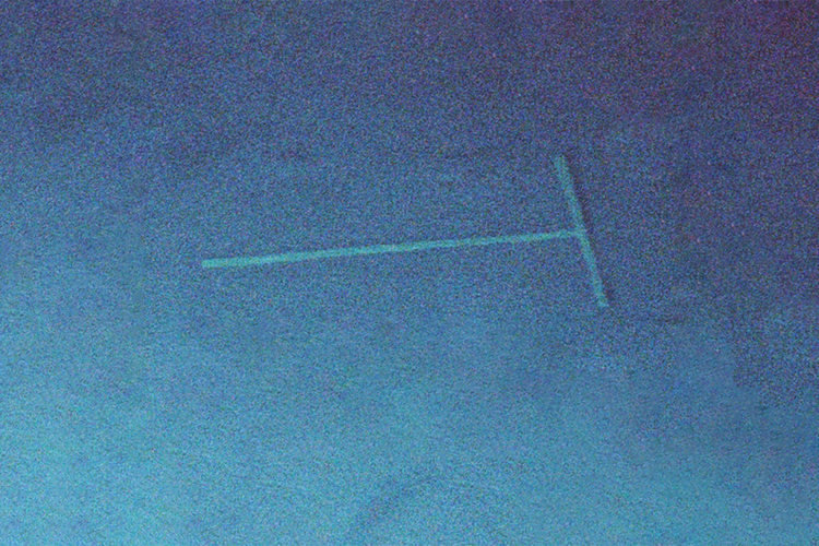 A long shot of a person's hand reaching towards the sky.