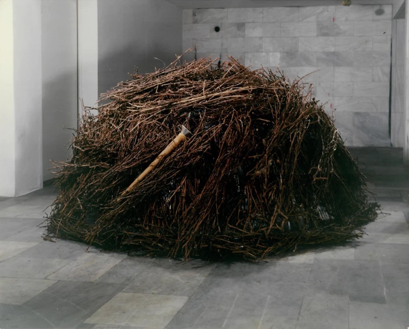 A pile of sticks on the floor of a room, surrounded by hay and straw.
