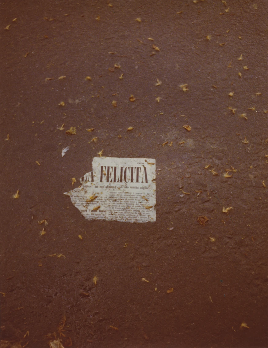 A piece of brown paper with handwritten text on the ground outdoors.