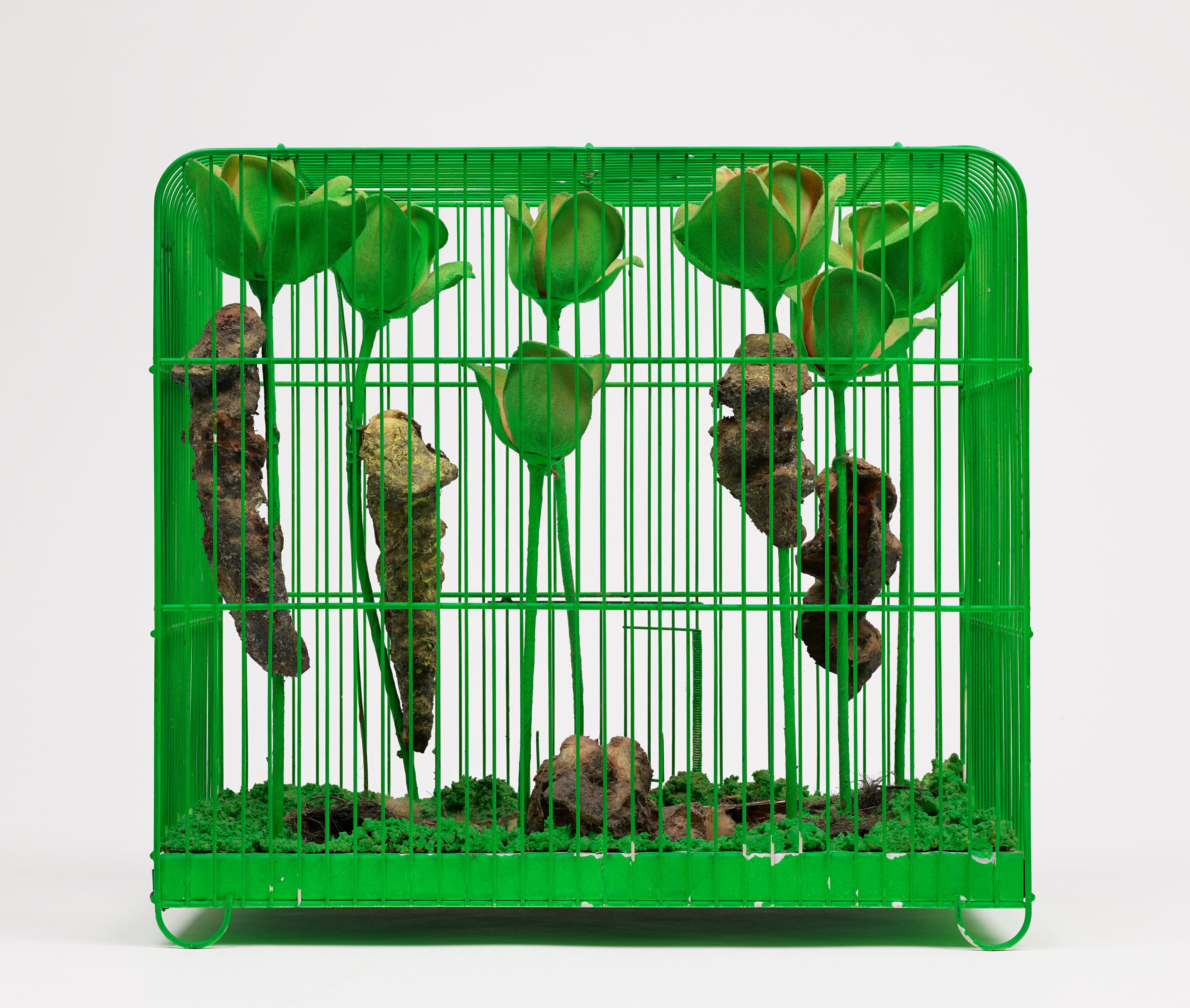 A green cage filled with various plants, set against a neutral background.