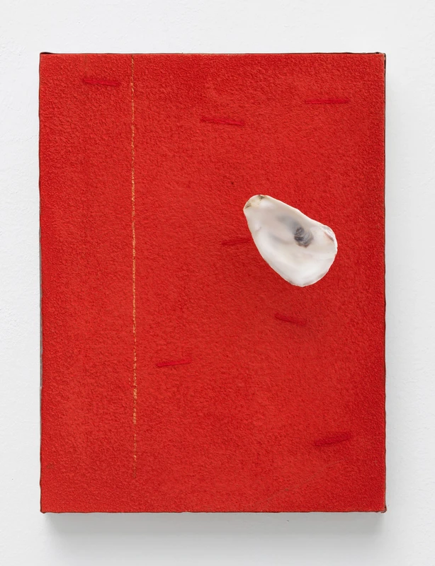 A shell resting on a red surface. | 2025 The Mayor Gallery