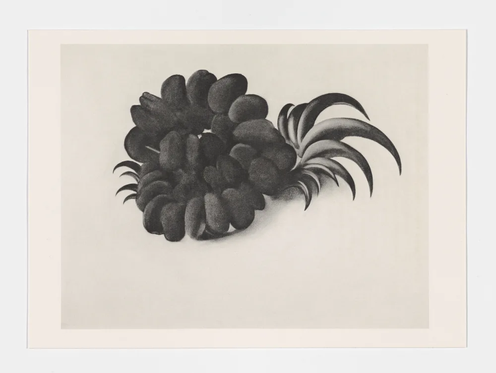 A detailed sketch of a pineapple featuring its distinctive spiky crown and textured body, surrounded by floral elements.