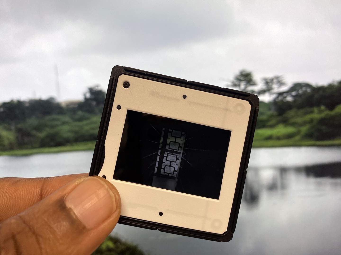 A hand holding a small square electronic device with a blurry outdoor background featuring trees and a lake.