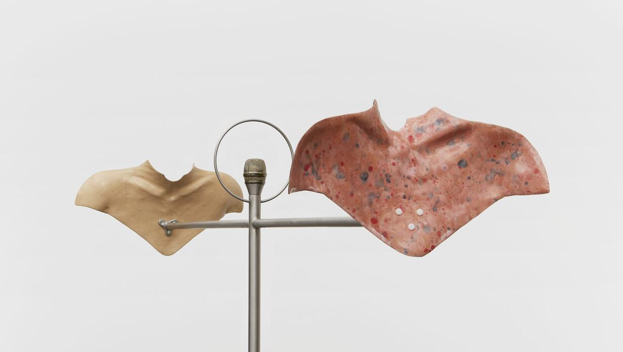 A metal pole with a few objects resting on it.