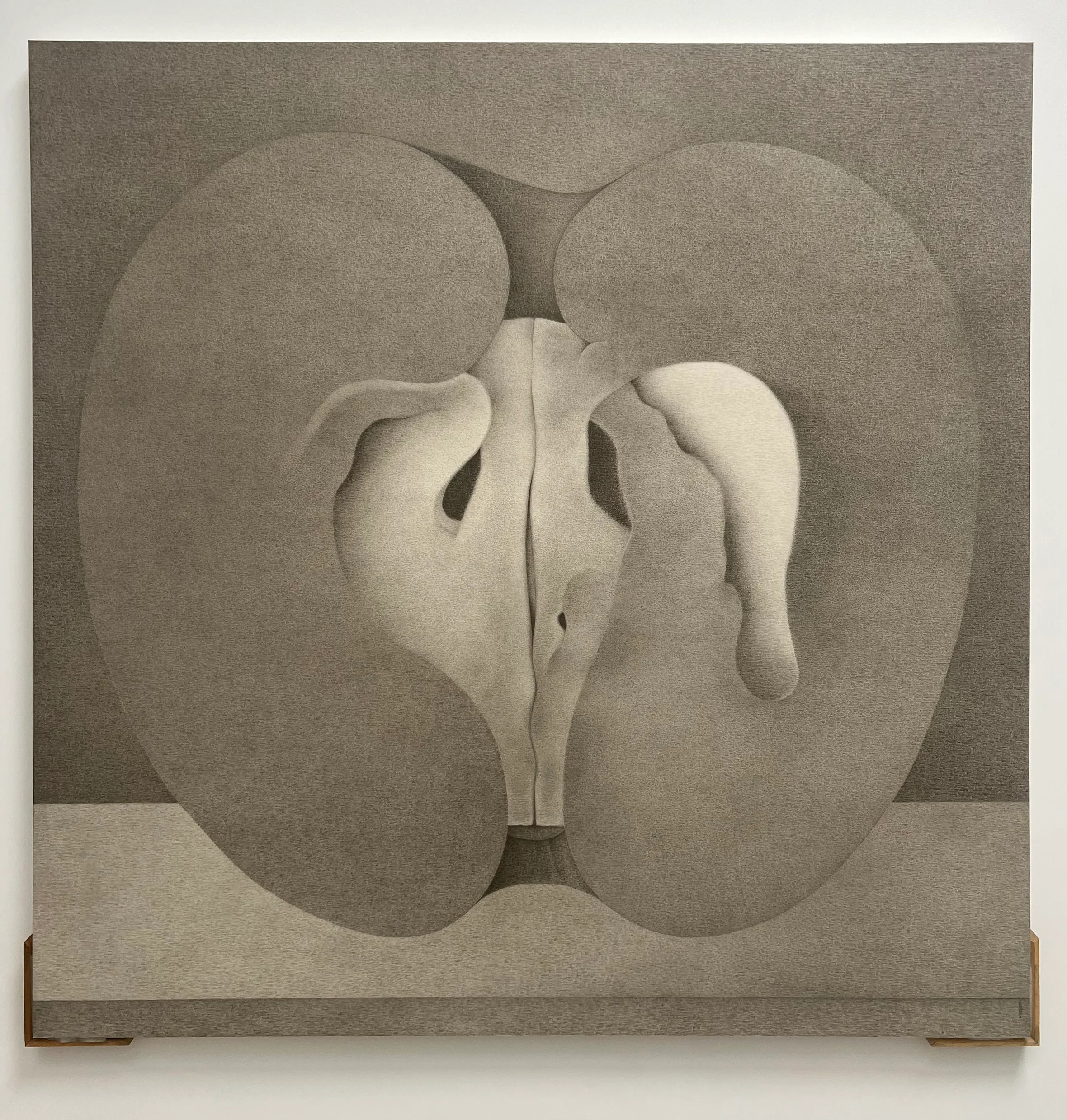 Abstract artwork featuring a stylized representation of a human figure, formed to resemble the shape of an apple, with muted tones and smooth textures.