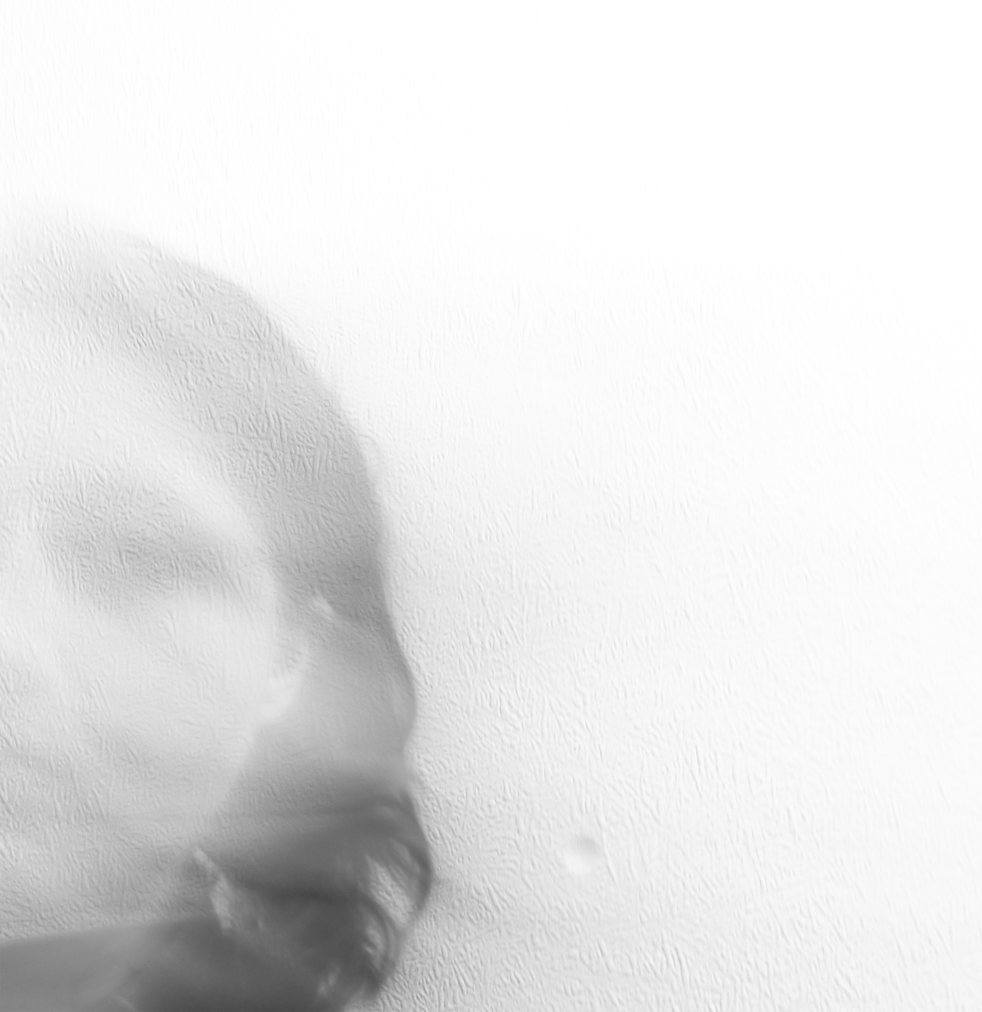 self portrait3 a4.jpg | null