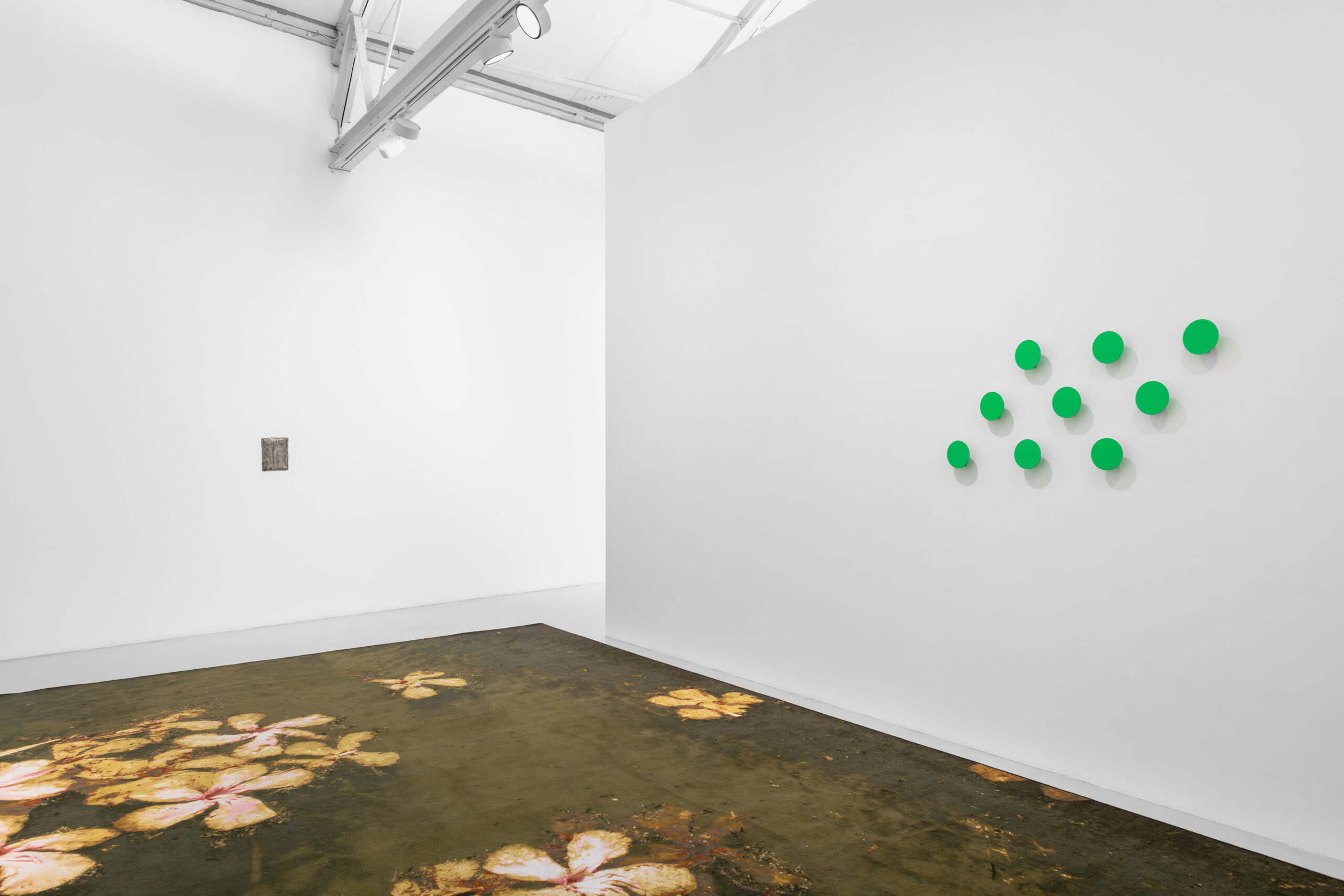 A minimalist art installation featuring a wall with green circular elements and a floor design resembling water lilies.