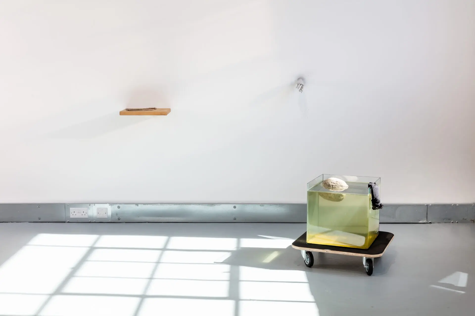 A clear tank of water on a wheeled cart, with a small object floating inside, set against a white wall with a wooden shelf and shadows on the floor.