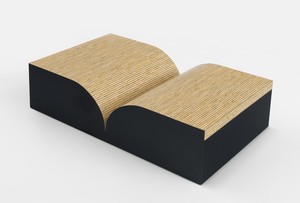 A sculptural representation of an open book, featuring a textured surface resembling pages and a solid base.