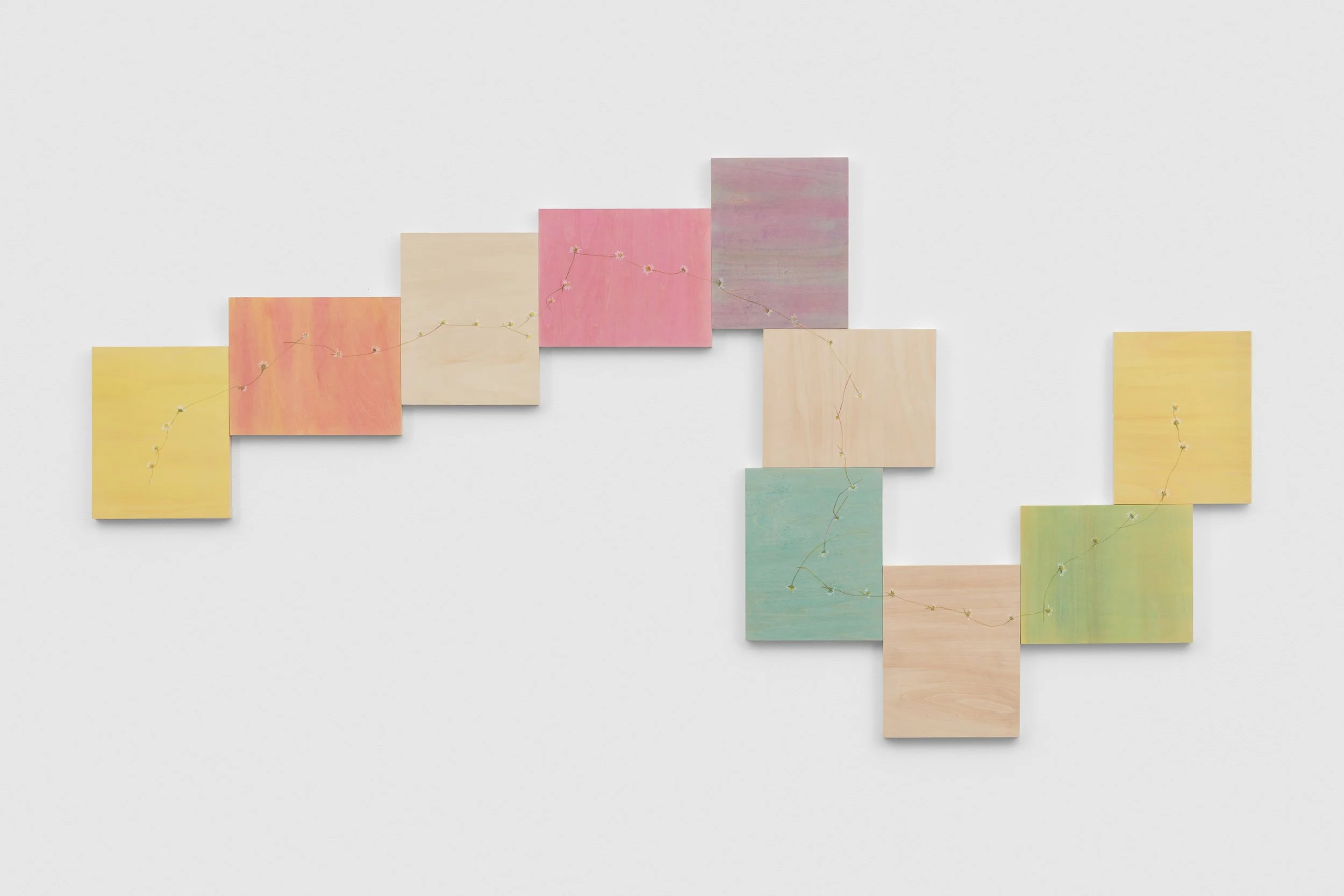 A series of pastel-colored square art pieces arranged in a wave-like pattern on a gray background.
