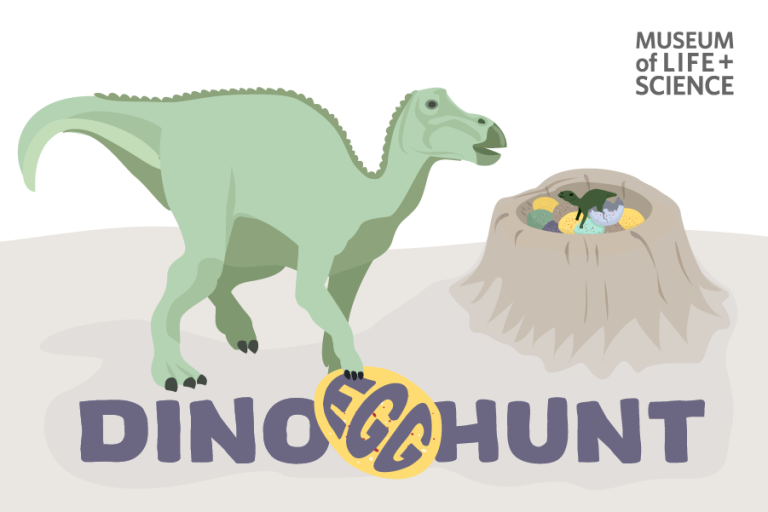 A cartoon dinosaur stands next to a nest of colorful eggs with the text "DINO EGG HUNT" and the logo for the Museum of Life + Science.