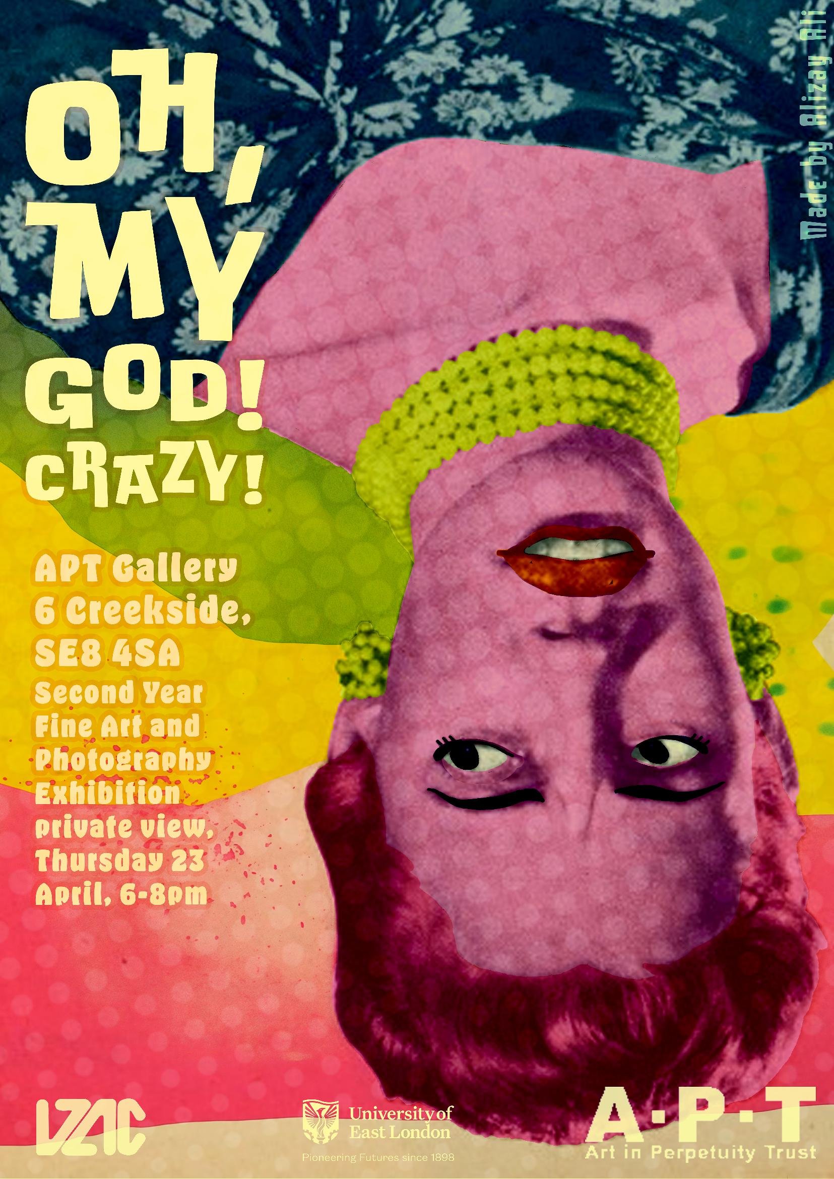 Oh, My God! Crazy! APT Gallery 6 Creekside, SE8 4SA Second Year Fine Art and Photography Exhibition private view Thursday