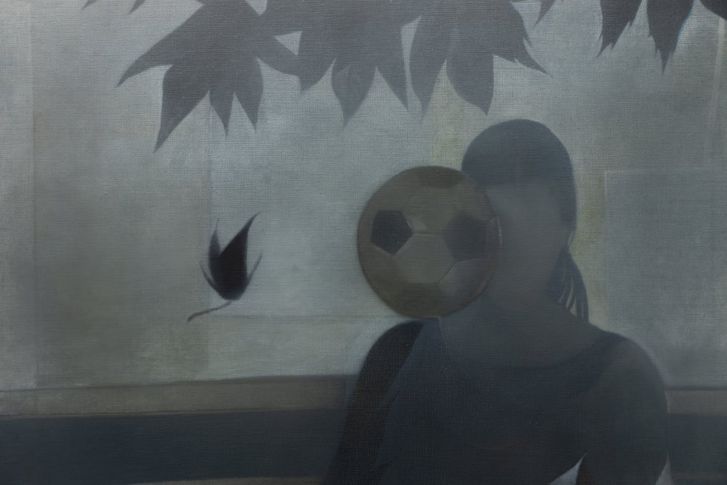A shadowy figure of a person sitting with a soccer ball and leaves in the background. | 2026 Brunette Coleman