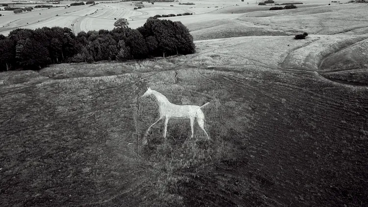 Aerial view of a large white horse chalk figure etched into the hillside, surrounded by fields and trees. The image is in black and white.