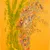Close-up of a cluster of grains on a stalk, set against a yellow background.