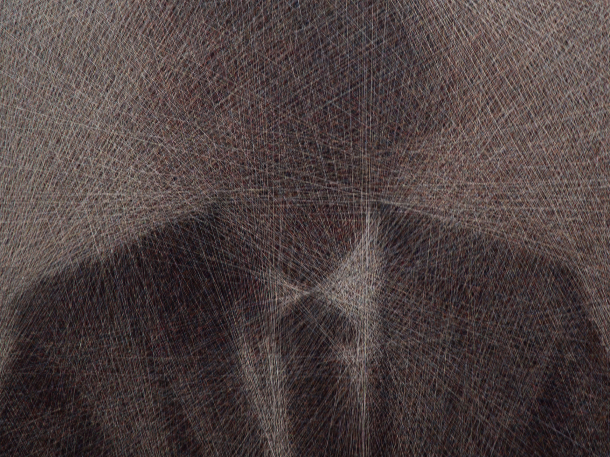 A blurred silhouette of a person in a suit, with indistinct features and a textured background.