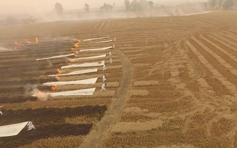 Aerial view of farmers in a field setting fire to crop stubble, with rows of burnt straw and smoke rising in the background. | 2026 Hayward Gallery