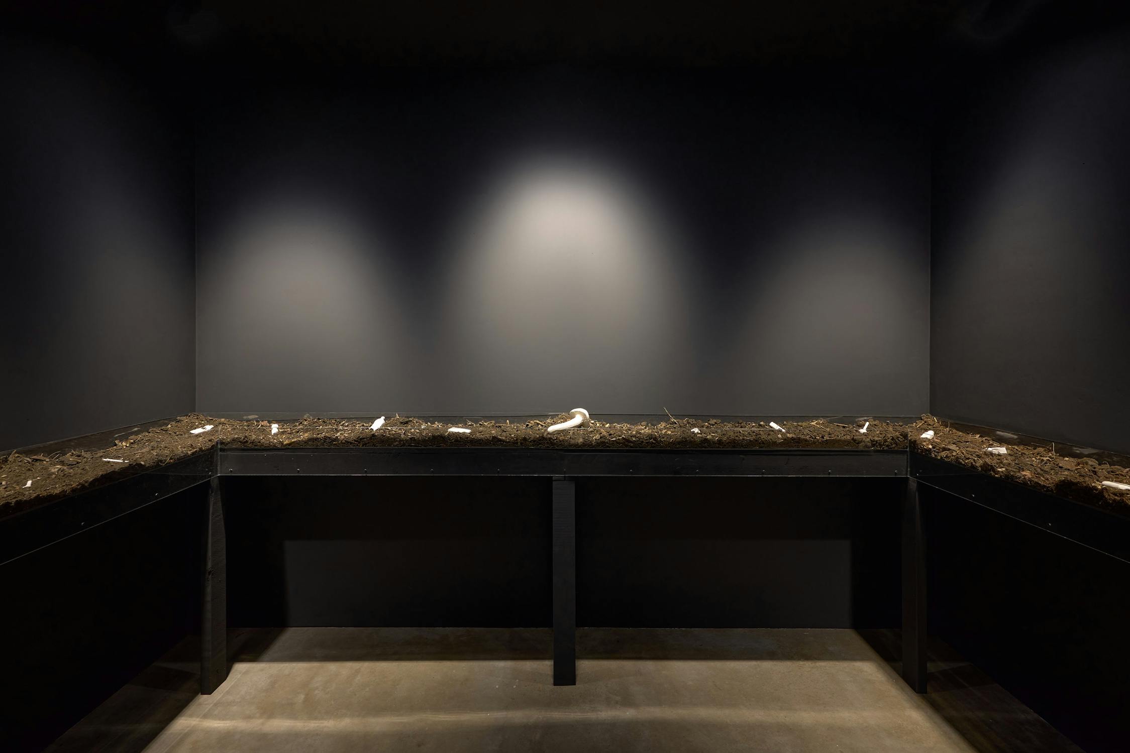 A dimly lit exhibition space with a black wall and floor, featuring a long table covered in earthy material and scattered objects.