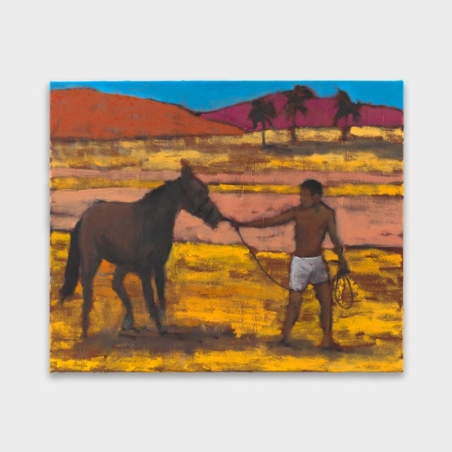 A man in shorts holding a horse's reins in a landscape with rolling hills and colorful skies.