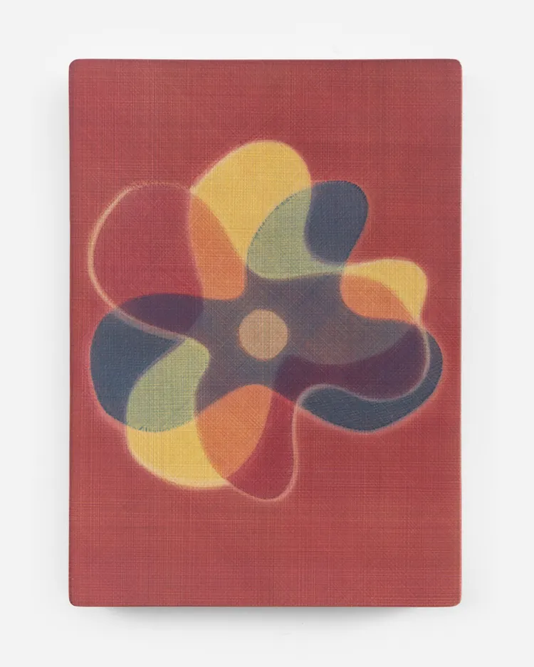 A colorful abstract flower shape on a textured red background.